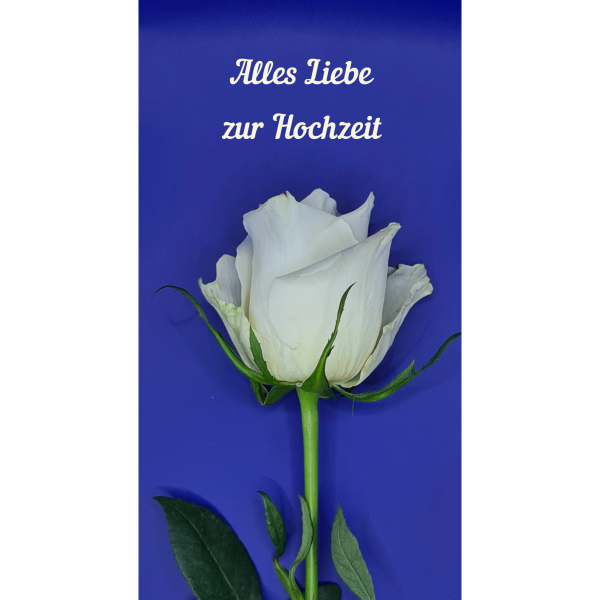 Edelrose / Hochzeit