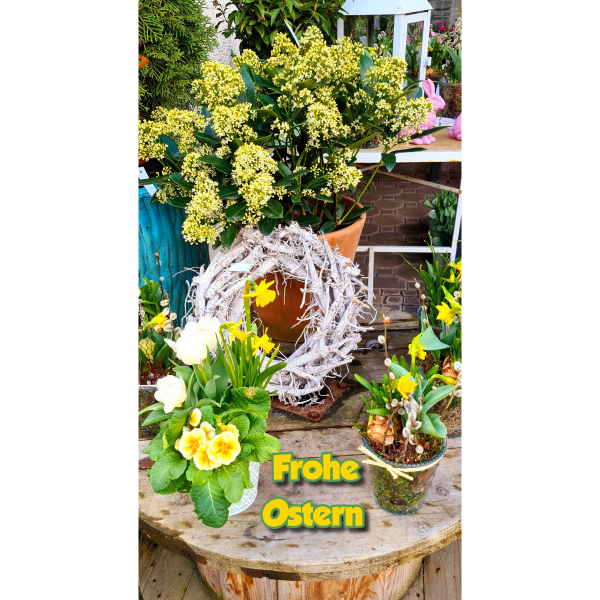 Formation / Ostern