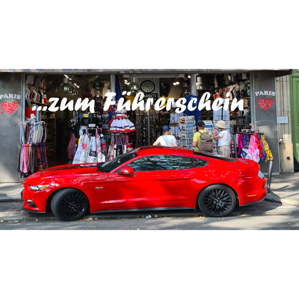 Pferdestärken Führerschein
