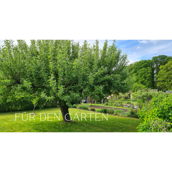 Garten / Natur