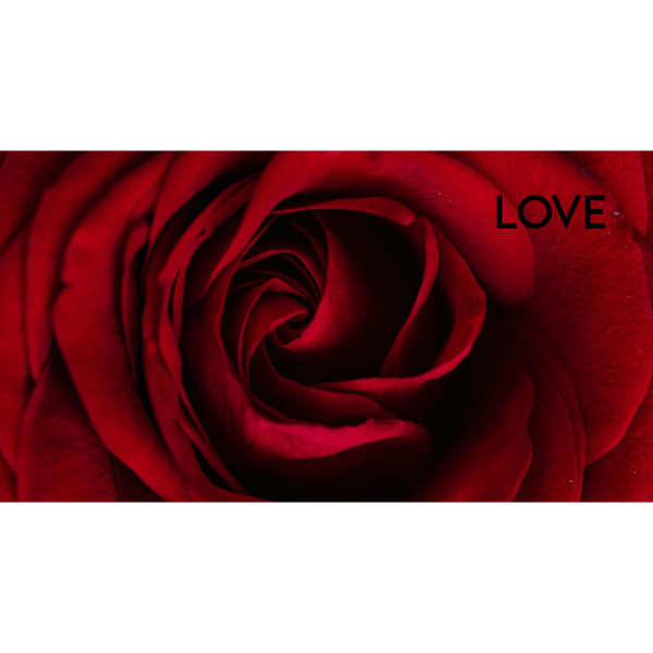 Love Rose